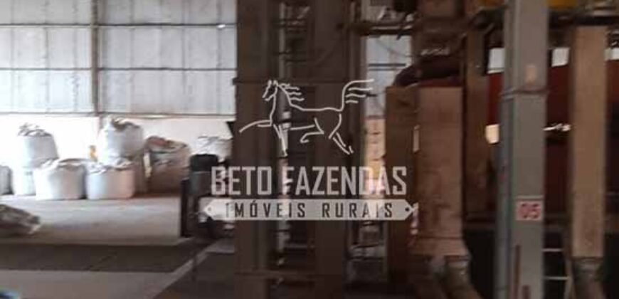 Fazenda à Venda 50 mil Hectares Produtiva em Grande Escala | Nova Mutum/ MT