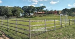 Fazenda Produtiva à Venda 319 Alqueires Pecuária | Carapebus/RJ Fazenda Produtiva à Venda 319 Alqueires Pecuária | Carapebus/RJ