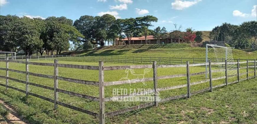 Fazenda Produtiva à Venda 319 Alqueires Pecuária | Carapebus/RJ Fazenda Produtiva à Venda 319 Alqueires Pecuária | Carapebus/RJ
