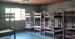 Fazenda Produtiva à Venda 319 Alqueires Pecuária | Carapebus/RJ Fazenda Produtiva à Venda 319 Alqueires Pecuária | Carapebus/RJ