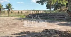 Fazenda Produtiva à Venda 319 Alqueires Pecuária | Carapebus/RJ Fazenda Produtiva à Venda 319 Alqueires Pecuária | Carapebus/RJ