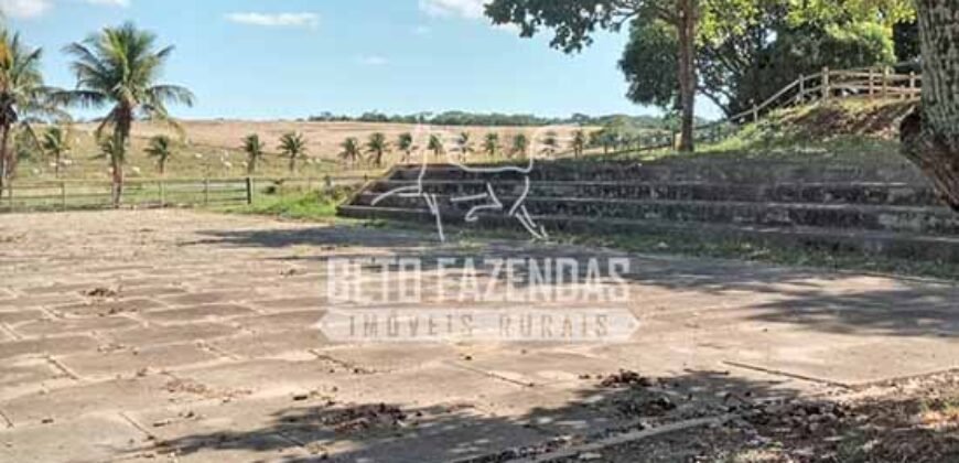 Fazenda Produtiva à Venda 319 Alqueires Pecuária | Carapebus/RJ Fazenda Produtiva à Venda 319 Alqueires Pecuária | Carapebus/RJ