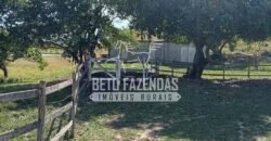 Fazenda Produtiva à Venda 319 Alqueires Pecuária | Carapebus/RJ Fazenda Produtiva à Venda 319 Alqueires Pecuária | Carapebus/RJ