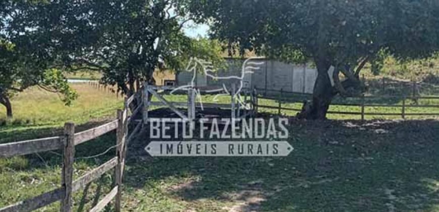 Fazenda Produtiva à Venda 319 Alqueires Pecuária | Carapebus/RJ Fazenda Produtiva à Venda 319 Alqueires Pecuária | Carapebus/RJ