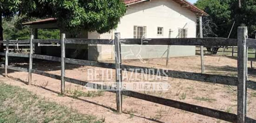 Fazenda Produtiva à Venda 319 Alqueires Pecuária | Carapebus/RJ Fazenda Produtiva à Venda 319 Alqueires Pecuária | Carapebus/RJ