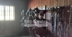 Fazenda Produtiva à Venda 319 Alqueires Pecuária | Carapebus/RJ Fazenda Produtiva à Venda 319 Alqueires Pecuária | Carapebus/RJ