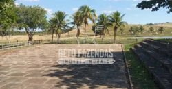 Fazenda Produtiva à Venda 319 Alqueires Pecuária | Carapebus/RJ Fazenda Produtiva à Venda 319 Alqueires Pecuária | Carapebus/RJ