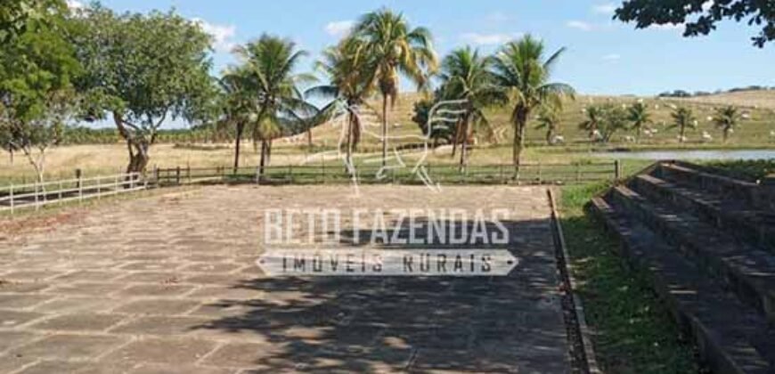 Fazenda Produtiva à Venda 319 Alqueires Pecuária | Carapebus/RJ Fazenda Produtiva à Venda 319 Alqueires Pecuária | Carapebus/RJ