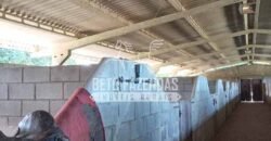 Fazenda Produtiva à Venda 319 Alqueires Pecuária | Carapebus/RJ Fazenda Produtiva à Venda 319 Alqueires Pecuária | Carapebus/RJ