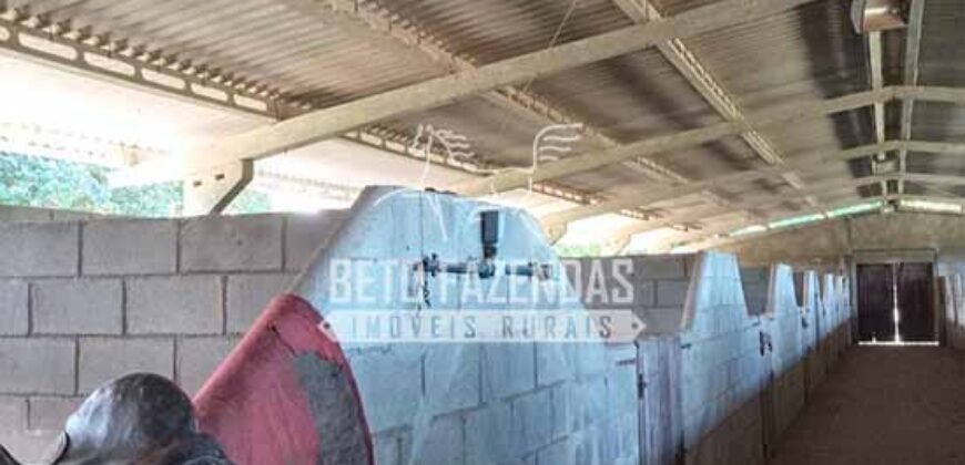 Fazenda Produtiva à Venda 319 Alqueires Pecuária | Carapebus/RJ Fazenda Produtiva à Venda 319 Alqueires Pecuária | Carapebus/RJ