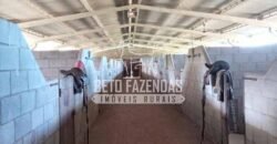 Fazenda Produtiva à Venda 319 Alqueires Pecuária | Carapebus/RJ Fazenda Produtiva à Venda 319 Alqueires Pecuária | Carapebus/RJ