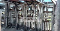 Fazenda Produtiva à Venda 319 Alqueires Pecuária | Carapebus/RJ Fazenda Produtiva à Venda 319 Alqueires Pecuária | Carapebus/RJ