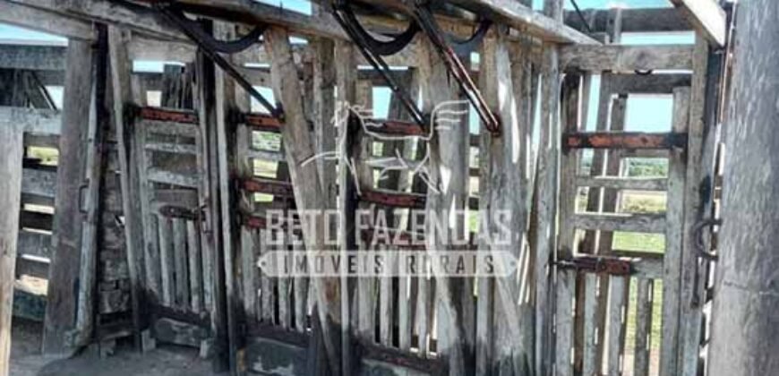 Fazenda Produtiva à Venda 319 Alqueires Pecuária | Carapebus/RJ Fazenda Produtiva à Venda 319 Alqueires Pecuária | Carapebus/RJ