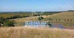 Fazenda Produtiva à Venda 319 Alqueires Pecuária | Carapebus/RJ Fazenda Produtiva à Venda 319 Alqueires Pecuária | Carapebus/RJ