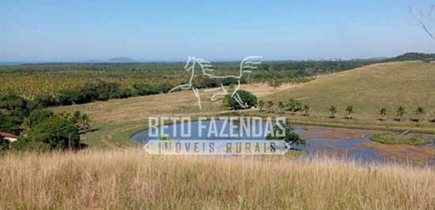 Fazenda Produtiva à Venda 319 Alqueires Pecuária | Carapebus/RJ Fazenda Produtiva à Venda 319 Alqueires Pecuária | Carapebus/RJ