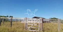 Fazenda Produtiva à Venda 319 Alqueires Pecuária | Carapebus/RJ Fazenda Produtiva à Venda 319 Alqueires Pecuária | Carapebus/RJ