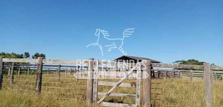 Fazenda Produtiva à Venda 319 Alqueires Pecuária | Carapebus/RJ Fazenda Produtiva à Venda 319 Alqueires Pecuária | Carapebus/RJ