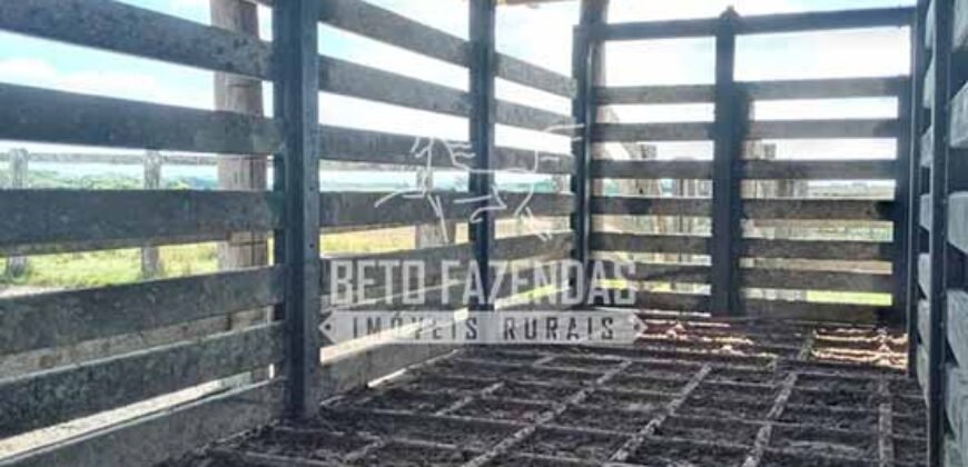Fazenda Produtiva à Venda 319 Alqueires Pecuária | Carapebus/RJ Fazenda Produtiva à Venda 319 Alqueires Pecuária | Carapebus/RJ