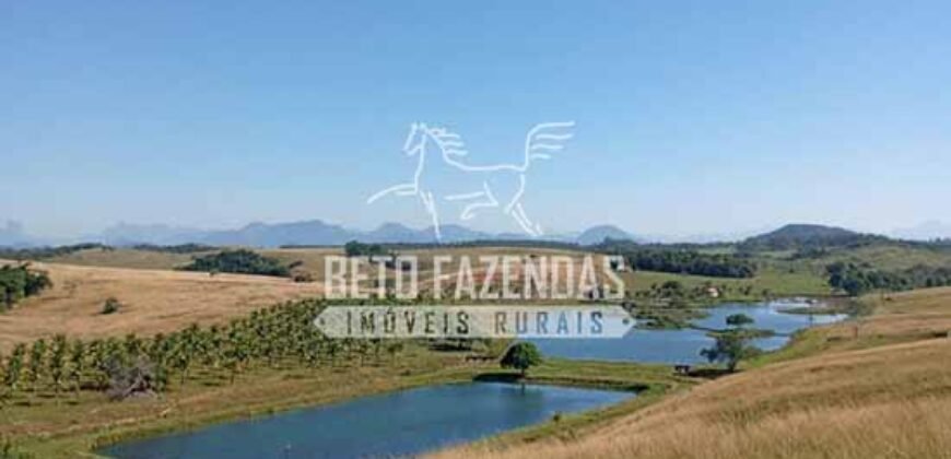 Fazenda Produtiva à Venda 319 Alqueires Pecuária | Carapebus/RJ Fazenda Produtiva à Venda 319 Alqueires Pecuária | Carapebus/RJ