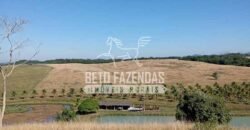 Fazenda Produtiva à Venda 319 Alqueires Pecuária | Carapebus/RJ Fazenda Produtiva à Venda 319 Alqueires Pecuária | Carapebus/RJ