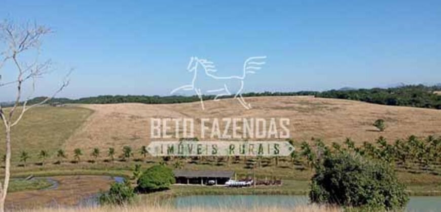 Fazenda Produtiva à Venda 319 Alqueires Pecuária | Carapebus/RJ Fazenda Produtiva à Venda 319 Alqueires Pecuária | Carapebus/RJ