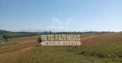 Fazenda Produtiva à Venda 319 Alqueires Pecuária | Carapebus/RJ Fazenda Produtiva à Venda 319 Alqueires Pecuária | Carapebus/RJ