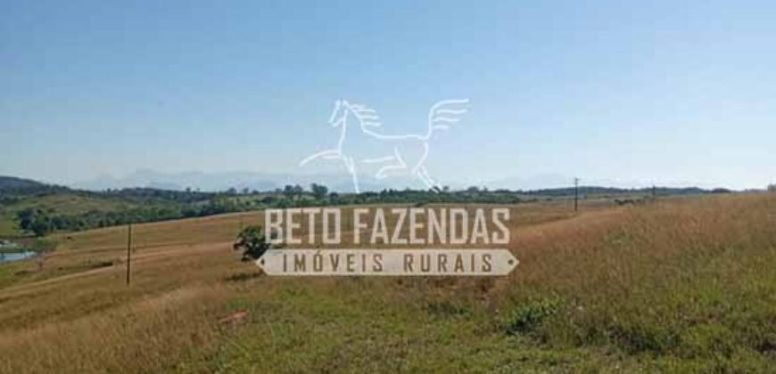 Fazenda Produtiva à Venda 319 Alqueires Pecuária | Carapebus/RJ Fazenda Produtiva à Venda 319 Alqueires Pecuária | Carapebus/RJ