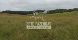 Fazenda Produtiva à Venda 319 Alqueires Pecuária | Carapebus/RJ Fazenda Produtiva à Venda 319 Alqueires Pecuária | Carapebus/RJ