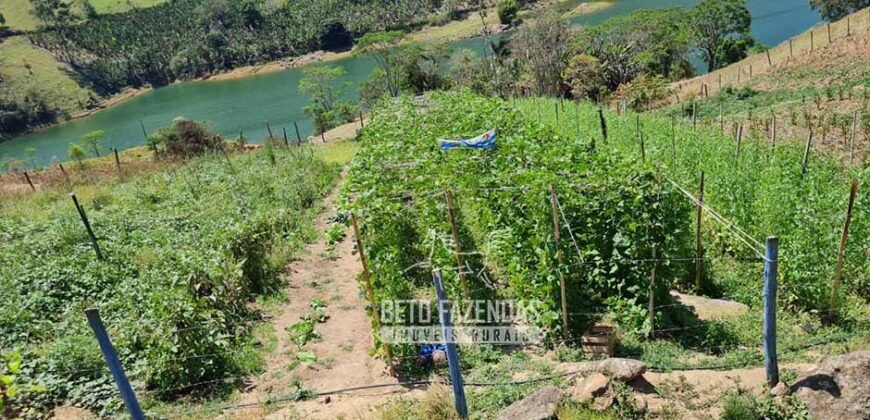 Sítio à venda 7 Alq. Fluminense Um Paraíso Rural Ótimo Investimento | Trajano de Morais/ RJ Sítio à venda 7 Alq. Fluminense Um Paraíso Rural Ótimo Investimento | Trajano de Morais/ RJ