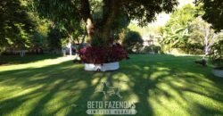 Sítio à Venda 10 Alqueires Paraíso Rural | Rio Preto/MG