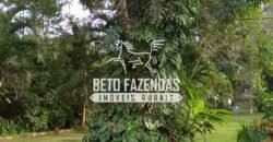 Sítio à Venda 10 Alqueires Paraíso Rural | Rio Preto/MG