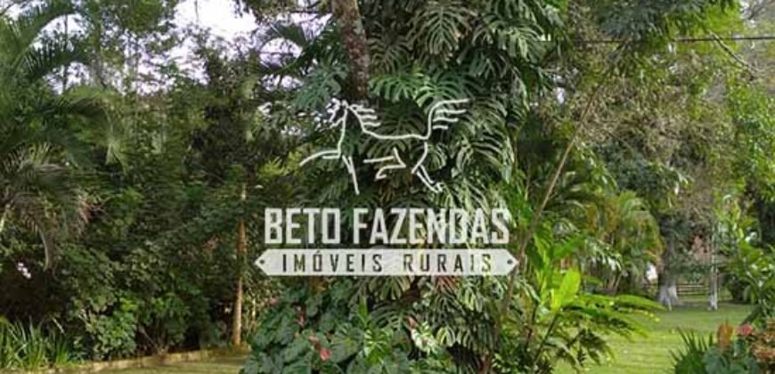 Sítio à Venda 10 Alqueires Paraíso Rural | Rio Preto/MG