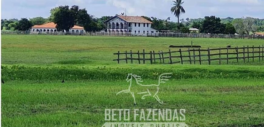 Fazenda à Venda 9.500 Has Grande Potencial Produtivo | Alenquer/ PA