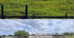 Fazenda à Venda 9.500 Has Grande Potencial Produtivo | Alenquer/ PA