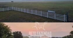 Fazenda à Venda 9.500 Has Grande Potencial Produtivo | Alenquer/ PA