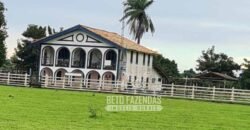 Fazenda à Venda 9.500 Has Grande Potencial Produtivo | Alenquer/ PA