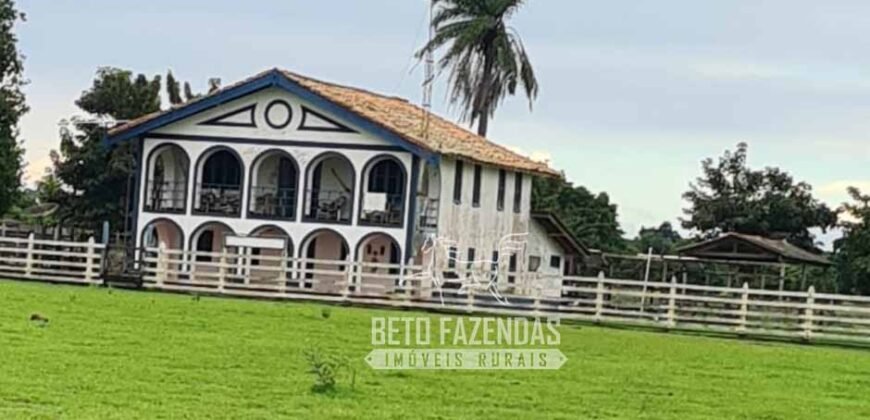 Fazenda à Venda 9.500 Has Grande Potencial Produtivo | Alenquer/ PA