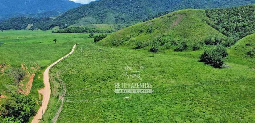 Fazenda à venda 300 Alqueires Paraíso Rural | Casimiro de Abreu/ RJ