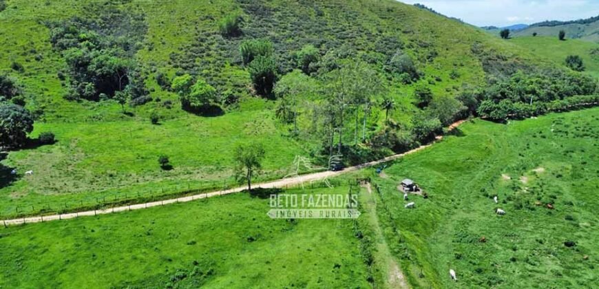 Fazenda à venda 300 Alqueires Paraíso Rural | Casimiro de Abreu/ RJ