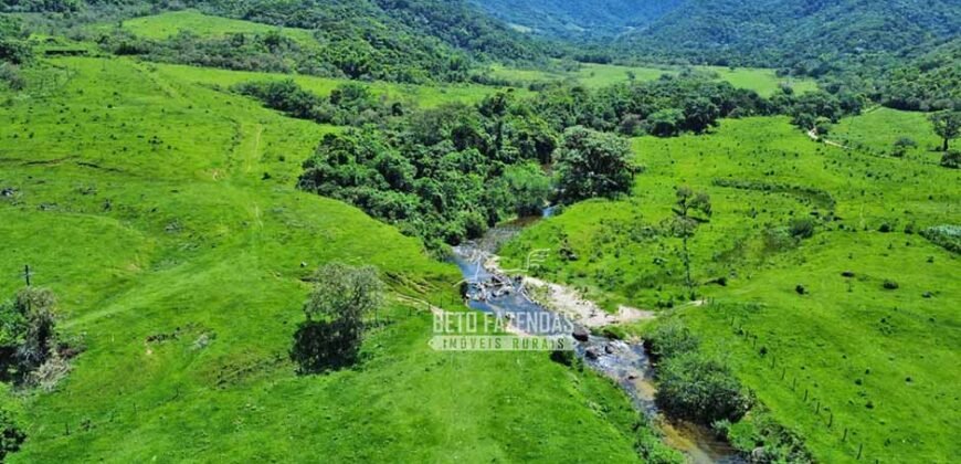 Fazenda à venda 300 Alqueires Paraíso Rural | Casimiro de Abreu/ RJ