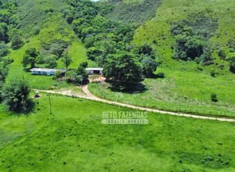 Fazenda à venda 300 Alqueires Paraíso Rural | Casimiro de Abreu/ RJ Fazenda à venda 300 Alqueires Paraíso Rural | Casimiro de Abreu/ RJ