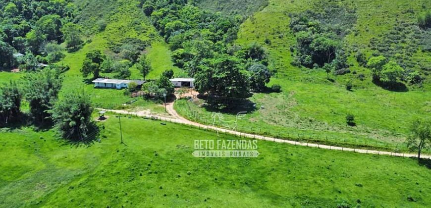 Fazenda à venda 300 Alqueires Paraíso Rural | Casimiro de Abreu/ RJ