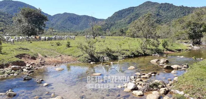 Fazenda à venda 300 Alqueires Paraíso Rural | Casimiro de Abreu/ RJ