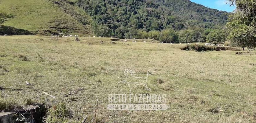 Fazenda à venda 300 Alqueires Paraíso Rural | Casimiro de Abreu/ RJ