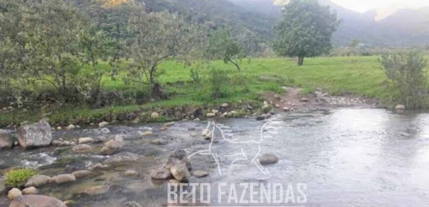 Fazenda à venda 300 Alqueires Paraíso Rural | Casimiro de Abreu/ RJ