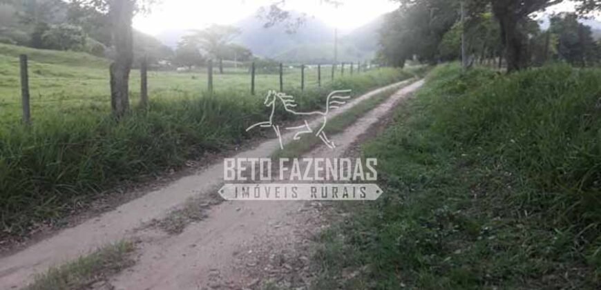 Fazenda à venda 300 Alqueires Paraíso Rural | Casimiro de Abreu/ RJ
