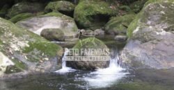 Fazenda à venda 300 Alqueires Paraíso Rural | Casimiro de Abreu/ RJ