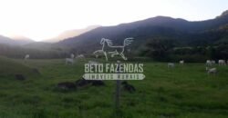 Fazenda à venda 300 Alqueires Paraíso Rural | Casimiro de Abreu/ RJ