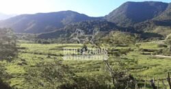 Fazenda à venda 300 Alqueires Paraíso Rural | Casimiro de Abreu/ RJ