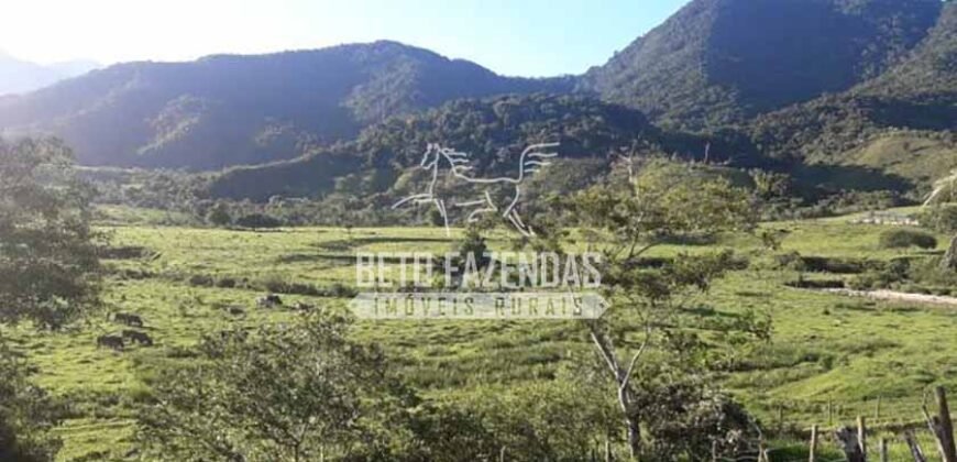Fazenda à venda 300 Alqueires Paraíso Rural | Casimiro de Abreu/ RJ